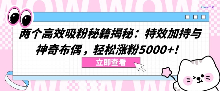 两个高效吸粉秘籍揭秘：特效加持与神奇布偶，轻松涨粉5000+【揭秘】_趣淘吧资源网