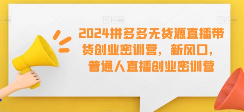 2024拼多多无货源直播带货创业密训营，新风口，普通人直播创业密训营_趣淘吧资源网