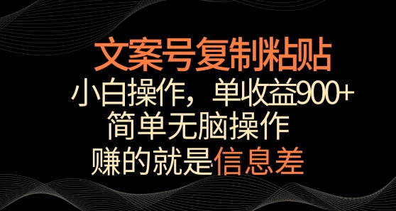 文案号掘金，简单复制粘贴，小白操作，单作品收益900+【揭秘】_趣淘吧资源网