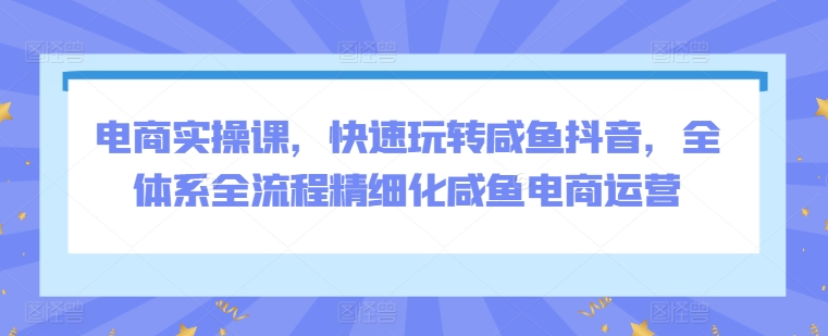 电商实操课，快速玩转咸鱼抖音，全体系全流程精细化咸鱼电商运营_趣淘吧资源网