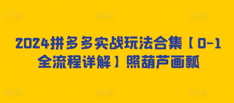 2024拼多多实战玩法合集【0-1全流程详解】照葫芦画瓢_趣淘吧资源网