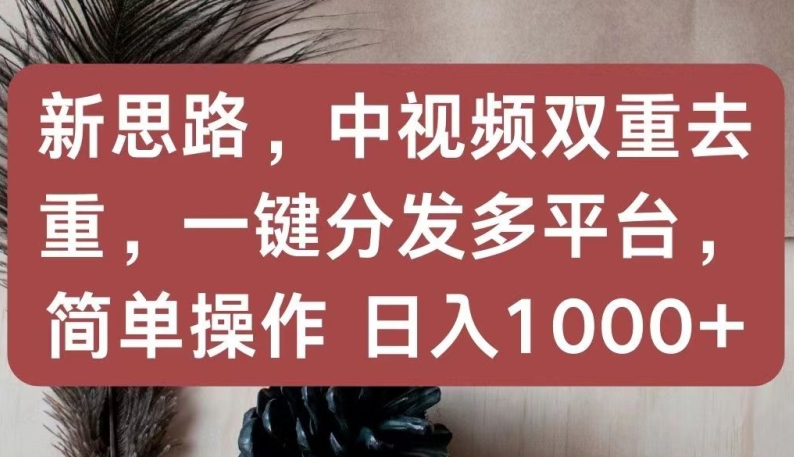 新思路，中视频双重去重，一键分发多平台，简单操作，日入1000+【揭秘】_趣淘吧资源网