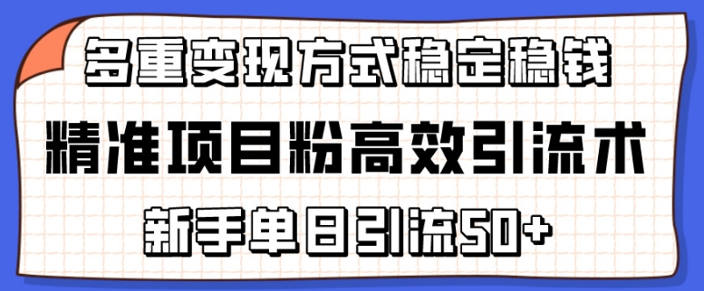 精准项目粉高效引流术，新手单日引流50+，多重变现方式稳定赚钱【揭秘】_趣淘吧资源网