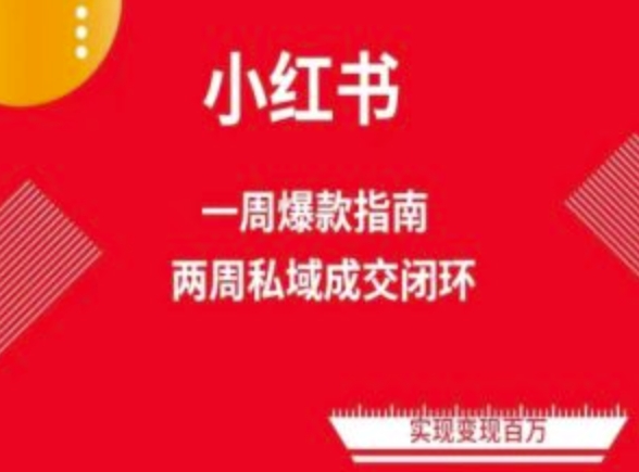 爆款小红书免费流量体系课程(两周变现)，小红书电商教程_趣淘吧资源网