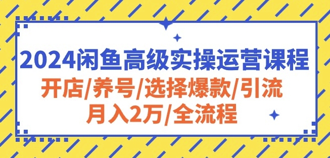 2024闲鱼高级实操运营课程：开店/养号/选择爆款/引流/月入2万/全流程_趣淘吧资源网