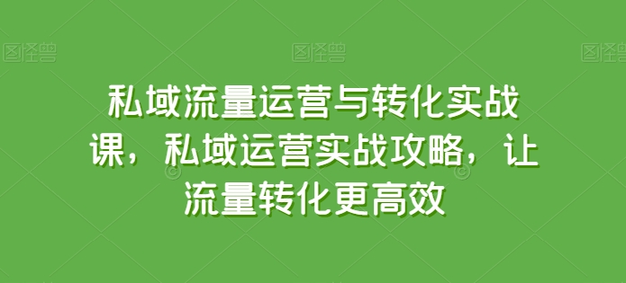 私域流量运营与转化实战课，私域运营实战攻略，让流量转化更高效_趣淘吧资源网