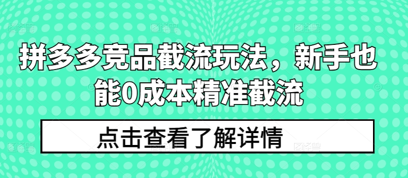 拼多多竞品截流玩法，新手也能0成本精准截流_趣淘吧资源网