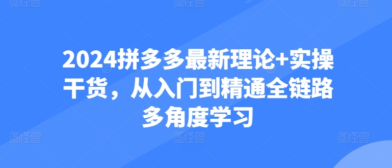 2024拼多多最新理论+实操干货，从入门到精通全链路多角度学习_趣淘吧资源网