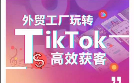 外贸工厂玩转TikTok高效获客，多种引流方式与账号定位技巧，拆解爆款短视频打造成功案例_趣淘吧资源网