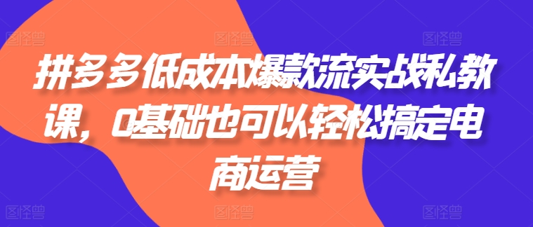 拼多多低成本爆款流实战私教课，0基础也可以轻松搞定电商运营_趣淘吧资源网