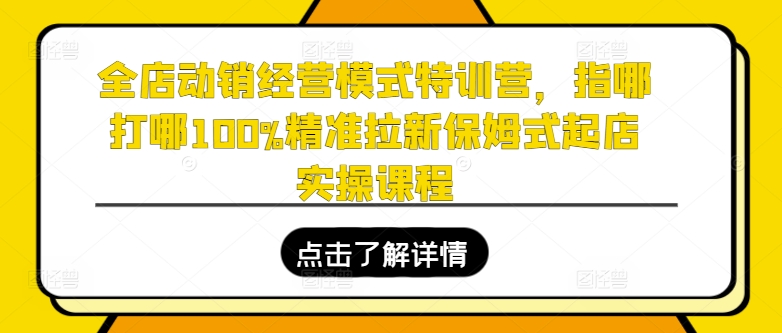 全店动销经营模式特训营，指哪打哪100%精准拉新保姆式起店实操课程_趣淘吧资源网