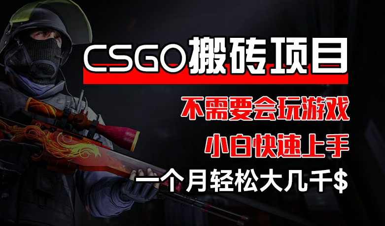 CSGO 装备搬砖项目，操作简单，不需要会玩游戏，小白也能快速上手，一个月轻松大几千【揭秘】_趣淘吧资源网