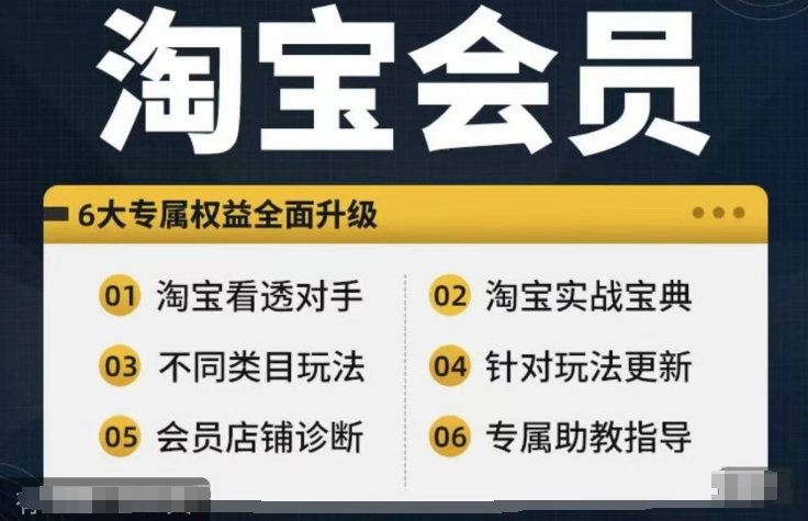 淘宝会员【淘宝所有课程，全面分析对手】，初级到高手全系实战宝典_趣淘吧资源网