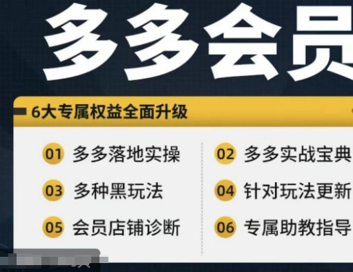 拼多多会员，拼多多实战宝典+实战落地实操，从新手到高阶内容全面覆盖_趣淘吧资源网