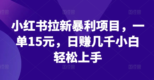 小红书拉新暴利项目，一单15元，日赚几千小白轻松上手【揭秘】_趣淘吧资源网