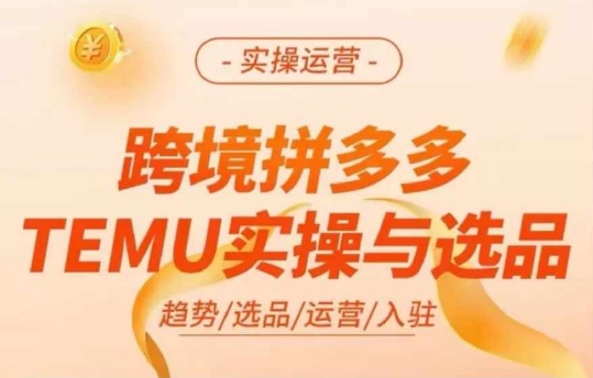 跨境拼多多TEMU实操与选品，多多temu跨境选品运营实操_趣淘吧资源网