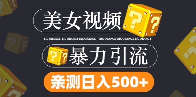 搬运tk美女视频全网分发，日引s粉300+，轻松变现，不限流量不封号【揭秘】_趣淘吧资源网