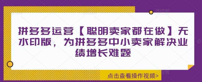 拼多多运营【聪明卖家都在做】无水印版，为拼多多中小卖家解决业绩增长难题_趣淘吧资源网