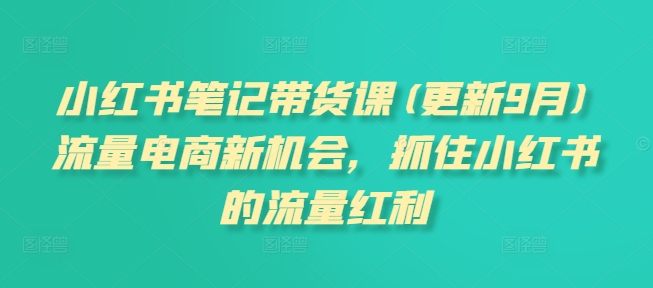 小红书笔记带货课(更新9月)流量电商新机会，抓住小红书的流量红利_趣淘吧资源网