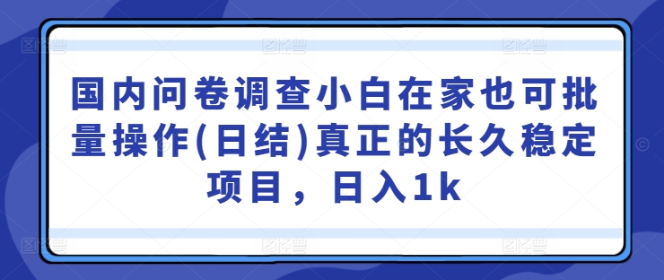 国内问卷调查小白在家也可批量操作(日结)真正的长久稳定项目，日入1k【揭秘】_趣淘吧资源网