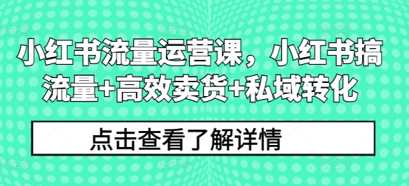 小红书流量运营课，小红书搞流量+高效卖货+私域转化_趣淘吧资源网