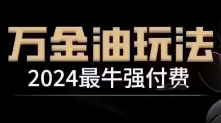 2024最牛强付费，万金油强付费玩法，干货满满，全程实操起飞_趣淘吧资源网