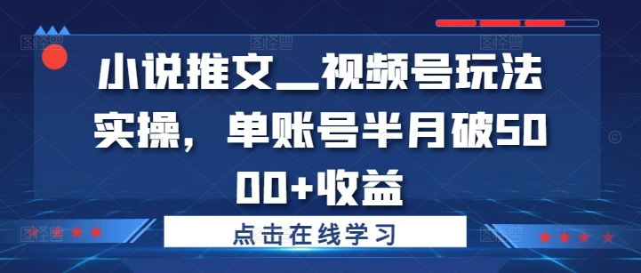 小说推文—视频号玩法实操，单账号半月破5000+收益_趣淘吧资源网